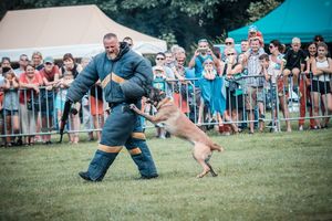 Wojewódzkie obchody Święta Policji 2018