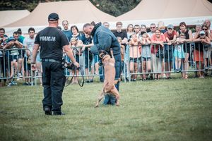 Wojewódzkie obchody Święta Policji 2018