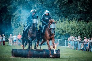 Wojewódzkie obchody Święta Policji 2018