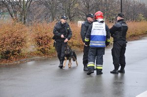 Wspólne ćwiczenia służb ratowniczych w katowickiej „Dolinie 3 Stawów”