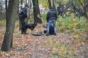 Wspólne ćwiczenia służb ratowniczych w katowickiej „Dolinie 3 Stawów”