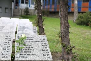 Fotografia kolorowa. Na zdjęciu widoczne płyty nagrobkowe.