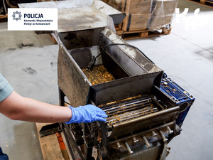 Funkcjonariuszka Krajowej Administracji Skarbowej w rękawiczkach ogląda maszynę do obróbki tytoniu.