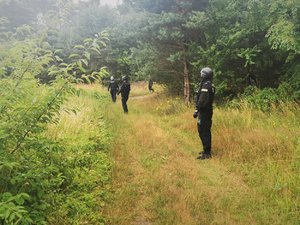 Zdjęcie kolorowe. Widoczni umundurowani policjanci prowadzący poszukiwania w terenie leśnym