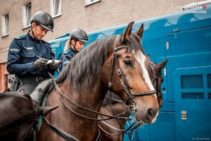 Policjanci policji konnej podczas zabezpieczenia meczu.