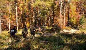 Zdjęcie kolorowe: uczestnicy idący gęsiego w lesie