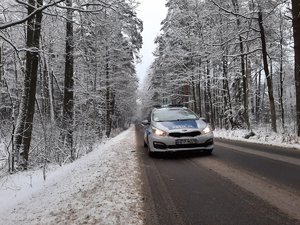 Oznakowany radiowóz, a w tle zaśnieżony las.