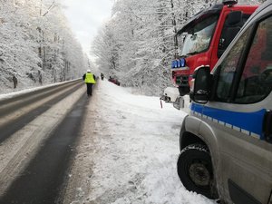 Policjanci na miejsu zdarzenia drogowego.