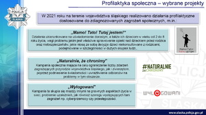 Slajd z prezentacji - profilaktyka społeczna