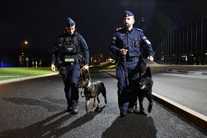 Zdjęcie kolorowe: dwóch umundurowanych policjantów wraz z psami służbowymi.