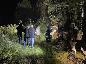 zdjęcie przedstawia policjantów wykonujących czynności z zatrzymanym w zaroślach