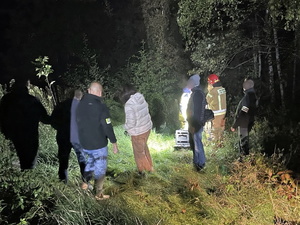 zdjęcie przedstawia policjantów wykonujących czynności z zatrzymanym w zaroślach