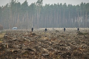 Zdjęcie. Widoczni policjanci w terenie leśnym