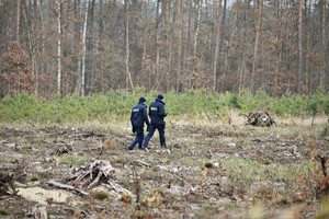 Zdjęcie. Widoczni policjanci w terenie leśnym
