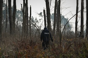 Zdjęcie. Widoczny policjant w terenie leśnym