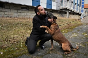 zdjęcie przedstawia mężczyznę, bawiącego się z psem policyjnym. Mężczyzna klęczy, i głaszcze psa