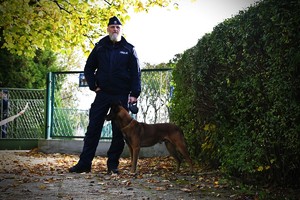 Zdjęcie. Policjant w mundurze i pies w terenie podczas ćwiczeń