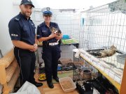 policjanci, którzy zrobili zbiórkę pieniędzy dla zwierząt