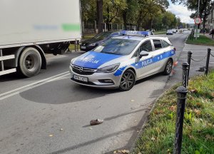 policjanci pracują na miejscu śmiertelnego wypadku