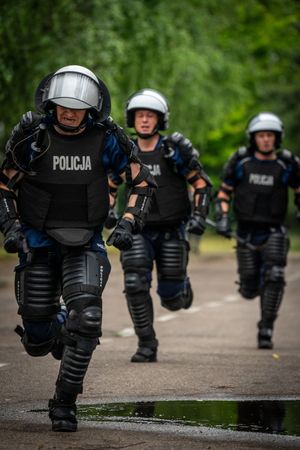 VII Edycja Biegu Żółwika