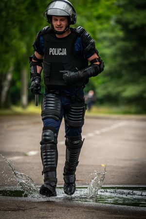 VII Edycja Biegu Żółwika