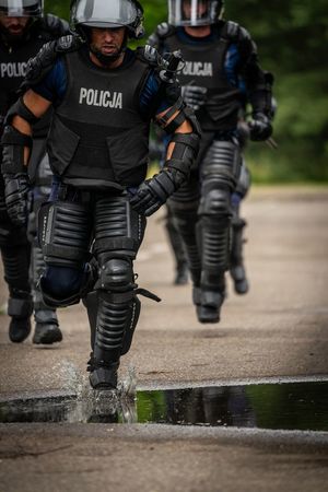 VII Edycja Biegu Żółwika