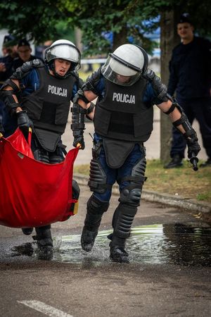 VII Edycja Biegu Żółwika