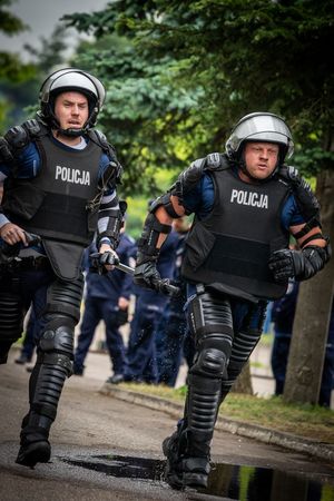 VII Edycja Biegu Żółwika
