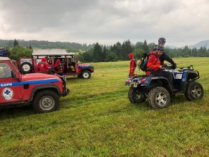 policjanci podczas akcji