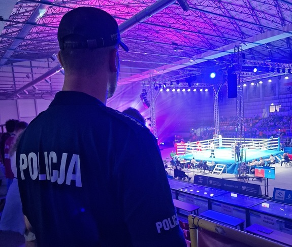 policjant stoi w hali lodowej przygląda się kiicom na trybunach