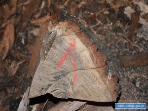 leżący kawałek porąbanego drewna z czerwonym napisem cyfrą 1