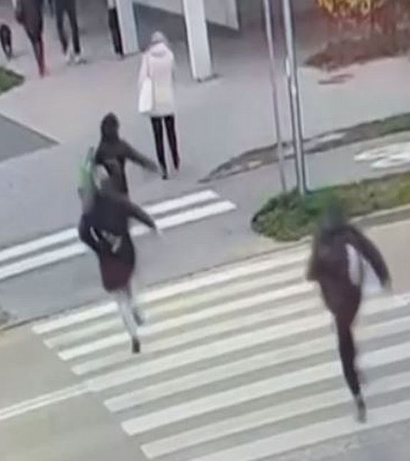 policjantka godni złodzieja