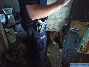Na zdjęciu policjant z psem policyjnym przeszukują mieszkanie.