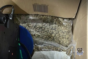 Susz marihuany w foliowym woreczku znajdującym się w kartonie.