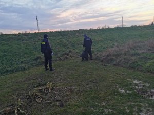 Umundurowani policjanci z psem służbowym wykonują czynności poszukiwawcze.