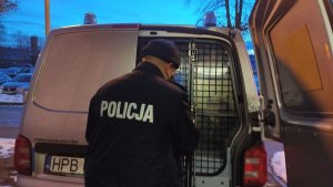 Na zdjęciu policjant zamyka tylne drzwi radiowozu w którym znajduje się zatrzymany.