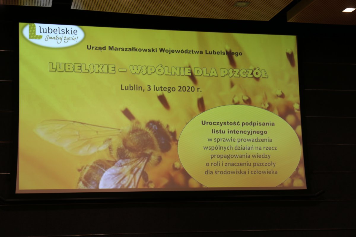 zdjęcie ekranu, na którym wyświetlone jest hasło akcji: "Lubelskie - wspólnie dla pszczół"