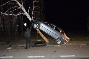 samochód wjechał w drzewo