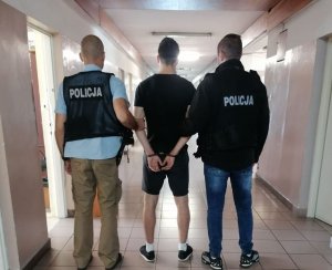 prowadzenie zatrzymanego przez policjantów