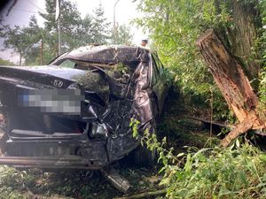 Pojazd Honda po wypadku pod drzewem