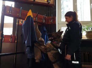 Policjanta stojąca bokiem, przed nią pies służbowy, który ma wyciągnięte łapy w kierunku stojącego przed nim wieszaka na ubrania