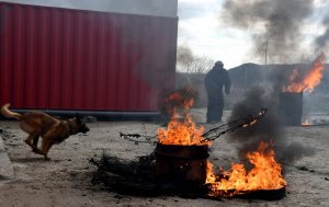 Pies służbowy biegnie za pozorantem. Na pierwszym planie płomienie i kłęby gęstego dymu.