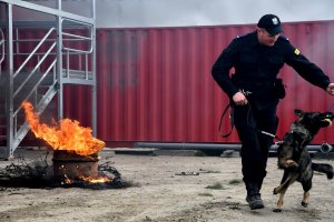 Po prawej stronie przewodnik psa służbowego daje do zabawy psu piłeczkę. Po lewej stronie płomienie i dym.