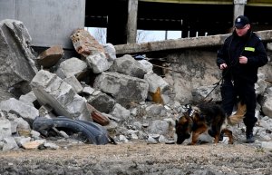 Po prawej stronie policyjny pies służbowy przeszukuje gruzowisko. Za nim idzie policjant.