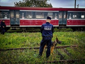 Szkolenie przewodników psów slużbowych i ich psów