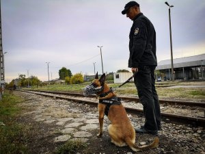 Szkolenie przewodników psów slużbowych i ich psów