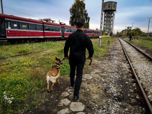 Szkolenie przewodników psów slużbowych i ich psów