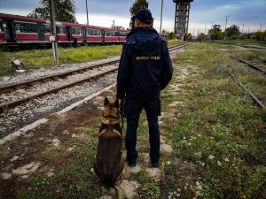 Szkolenie przewodników psów slużbowych i ich psów