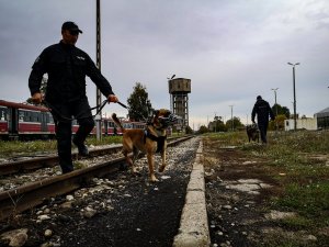 Szkolenie przewodników psów slużbowych i ich psów