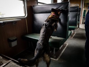 Szkolenie przewodników psów slużbowych i ich psów